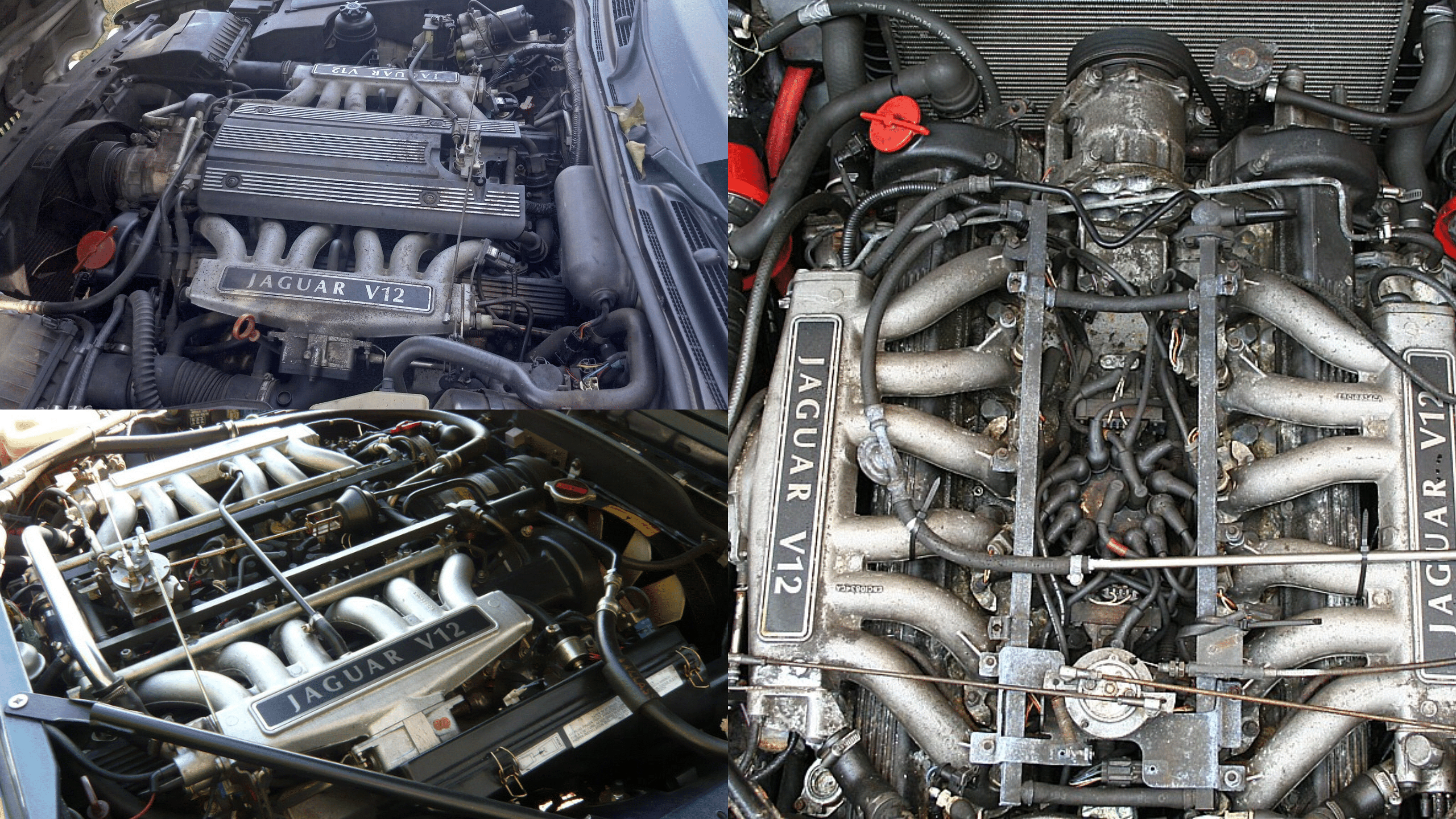 Jaguar XJS Engine - Jaguar V12 engine