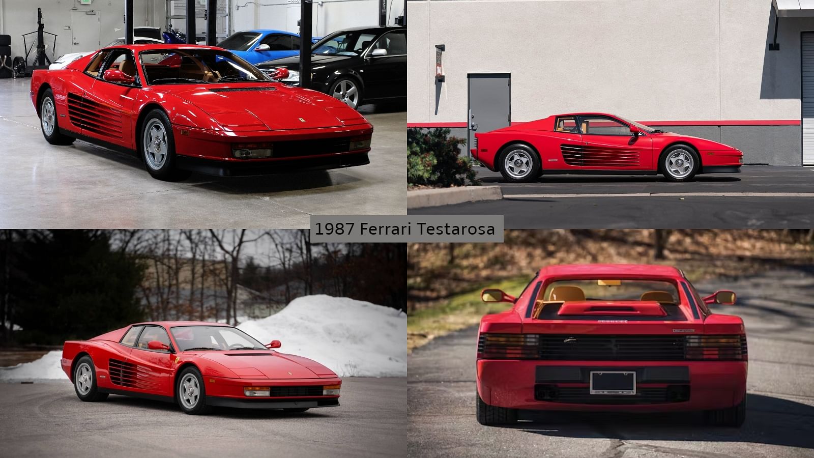 1987 Ferrari Testarosa - "Rose"