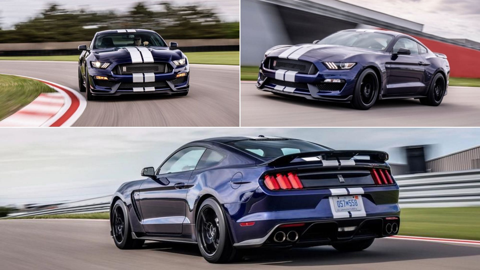 Blue 2019 Ford Mustang GT350